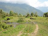 12 Trail On The Long Descent From Tadapani To The Bridge Over The Khumnu Khola On The Way From Ghorepani To Chomrong 